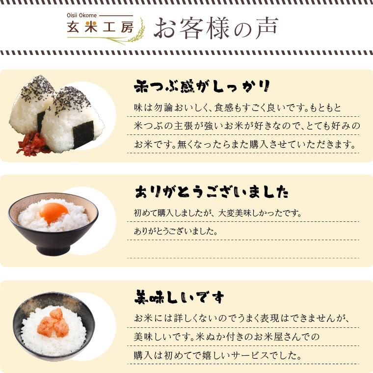 令和6年 お米 20kg 福島県産 チヨニシキ 無洗米 送料無料 精米 令和6年 お米 20kg 福島県産 チヨニシキ 無洗米 送料無料 精米