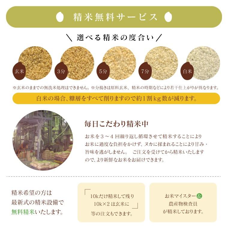 令和５年 お米 10kg 福島県産 ミルキークイーン 無洗米 送料無料 精米  米｜oisiiokomedesu｜12