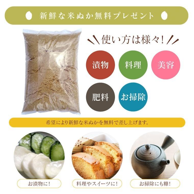 米 お米 5kg 農家蔵出し米  玄米 ブレンド米 訳あり 無洗米 送料無料 大粒｜oisiiokomedesu｜13