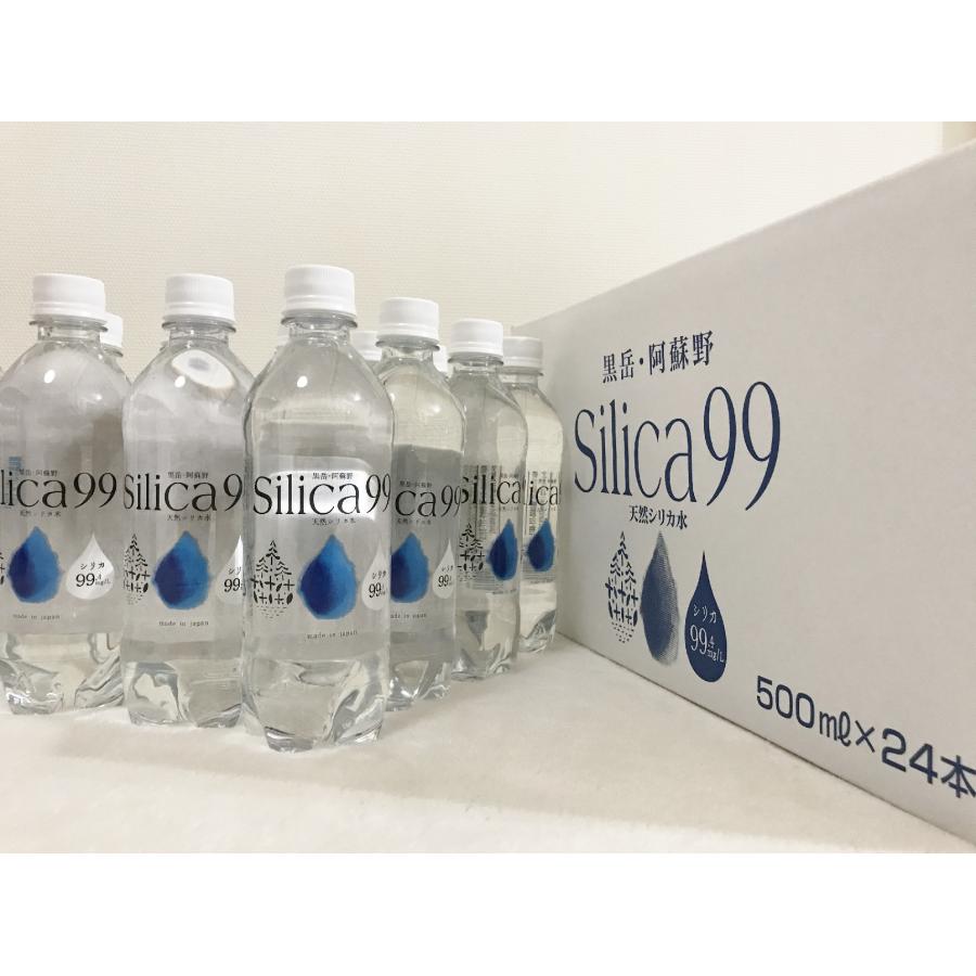 Silica99 500ml×24本（大分県/住宅企画/九重連山/男池/黒岳/天然炭酸