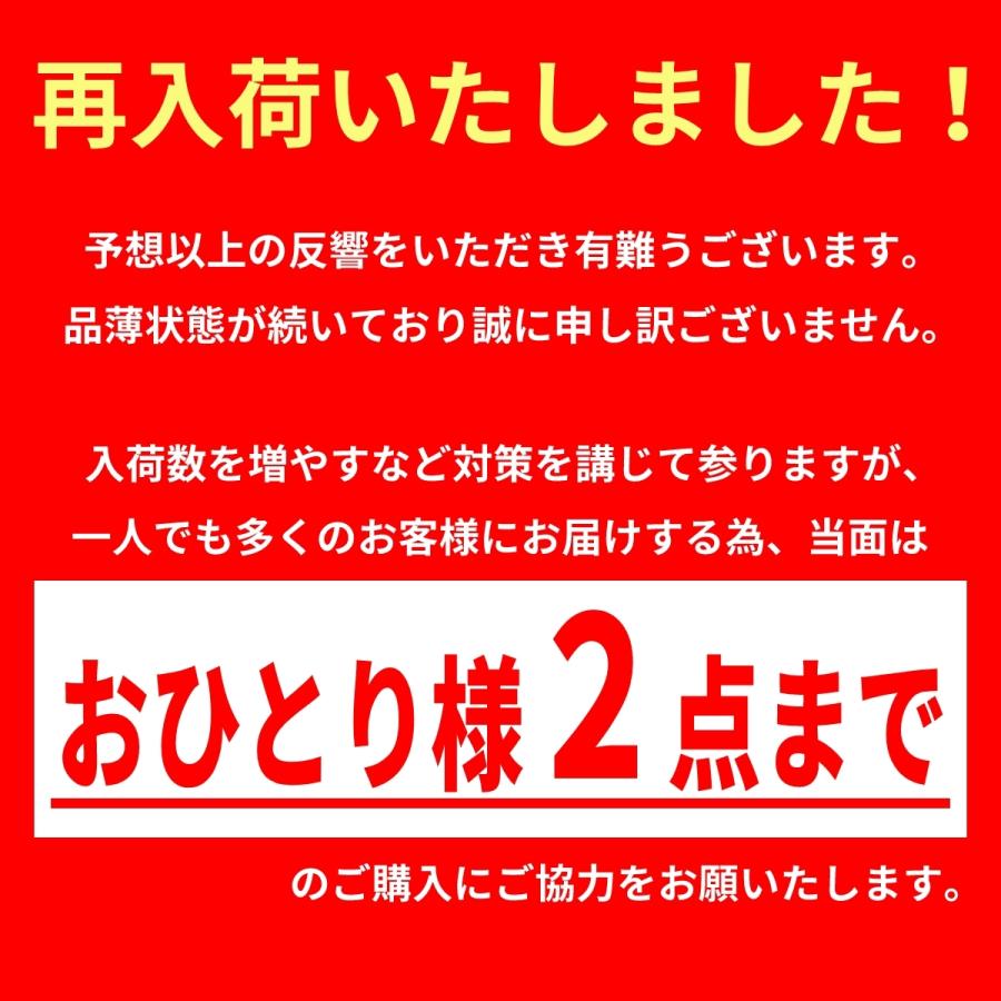 カラオケマイク ワイヤレスマイク bluetooth 家庭用 おもちゃマイク 子供 子ども ブルートゥース スピーカー USB 充電式 ボイスチェンジ | ブランド登録なし | 07