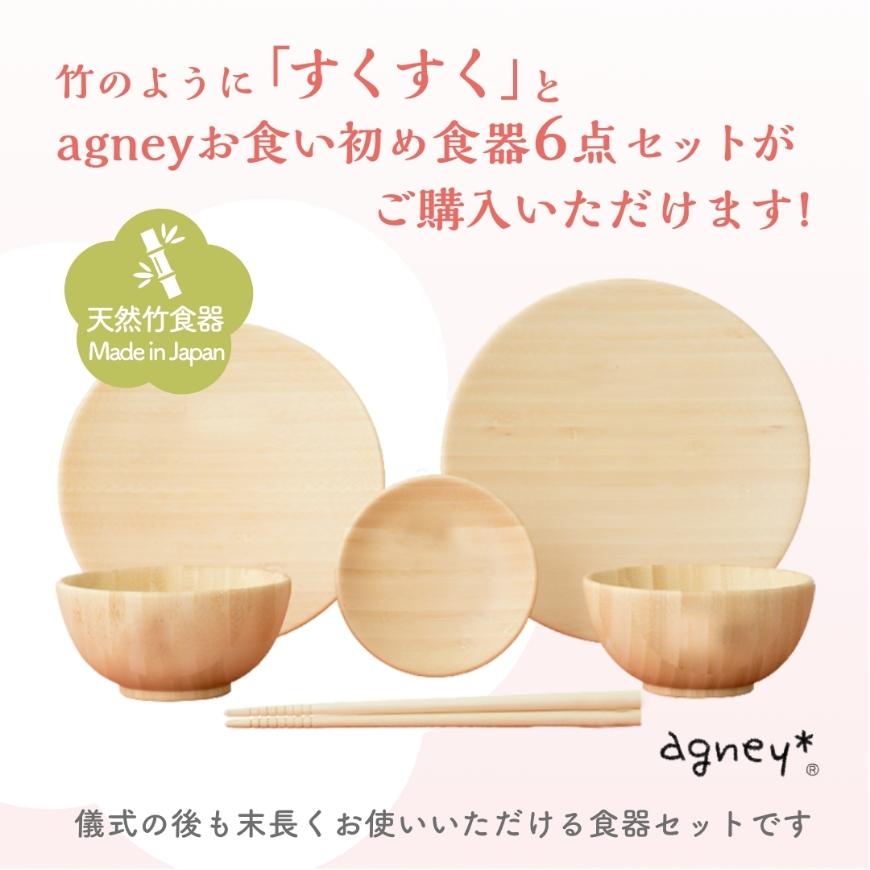 お食い初め 花むすびえん お食い初め膳 もえみずき プティ プリュ 食器 