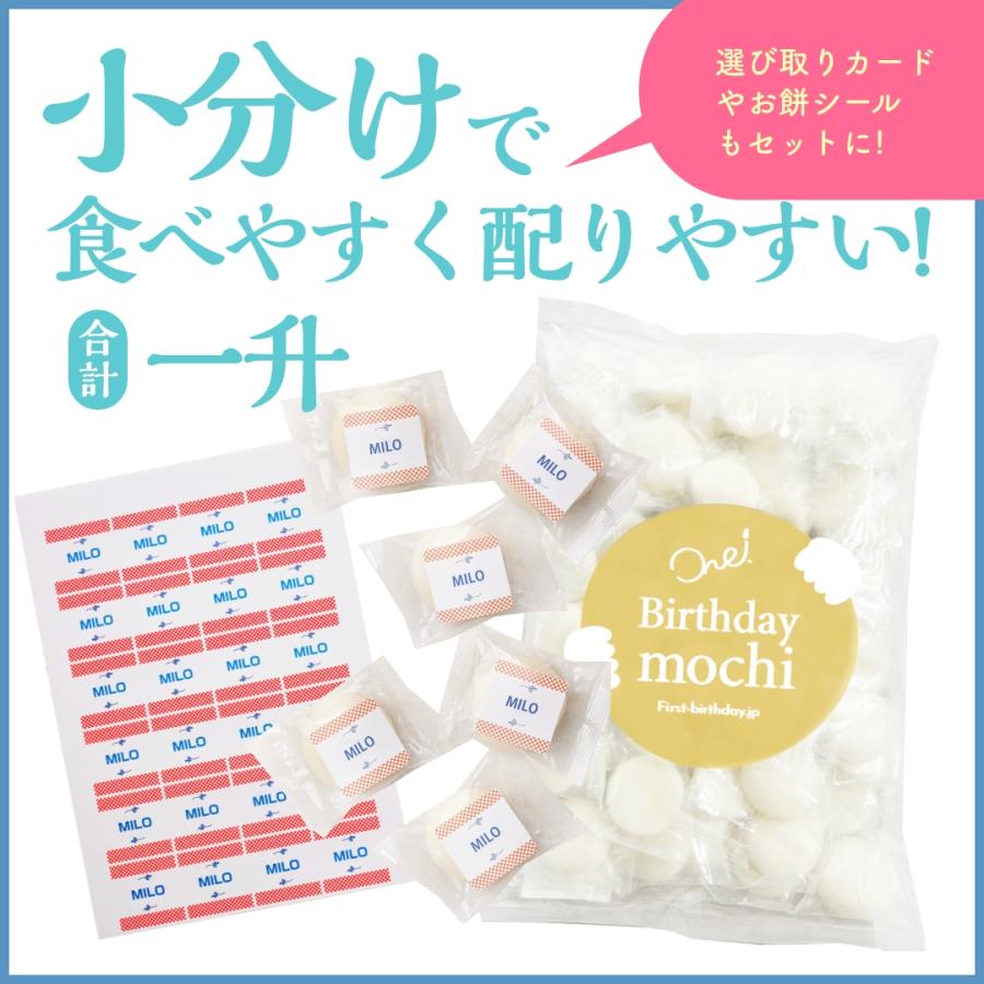 One 一升餅 1歳 誕生日 一升餅 10点セット 豪華 タペストリー付き