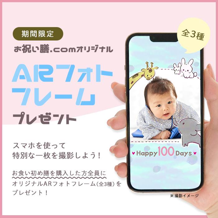 即納 最大半額 お食い初め お食い初めセット フレンチの鉄人 坂井宏行監修 フレンチ お食い初め膳 祝い鯛姿焼きコース 驚きの安さ Www Muslimaidusa Org