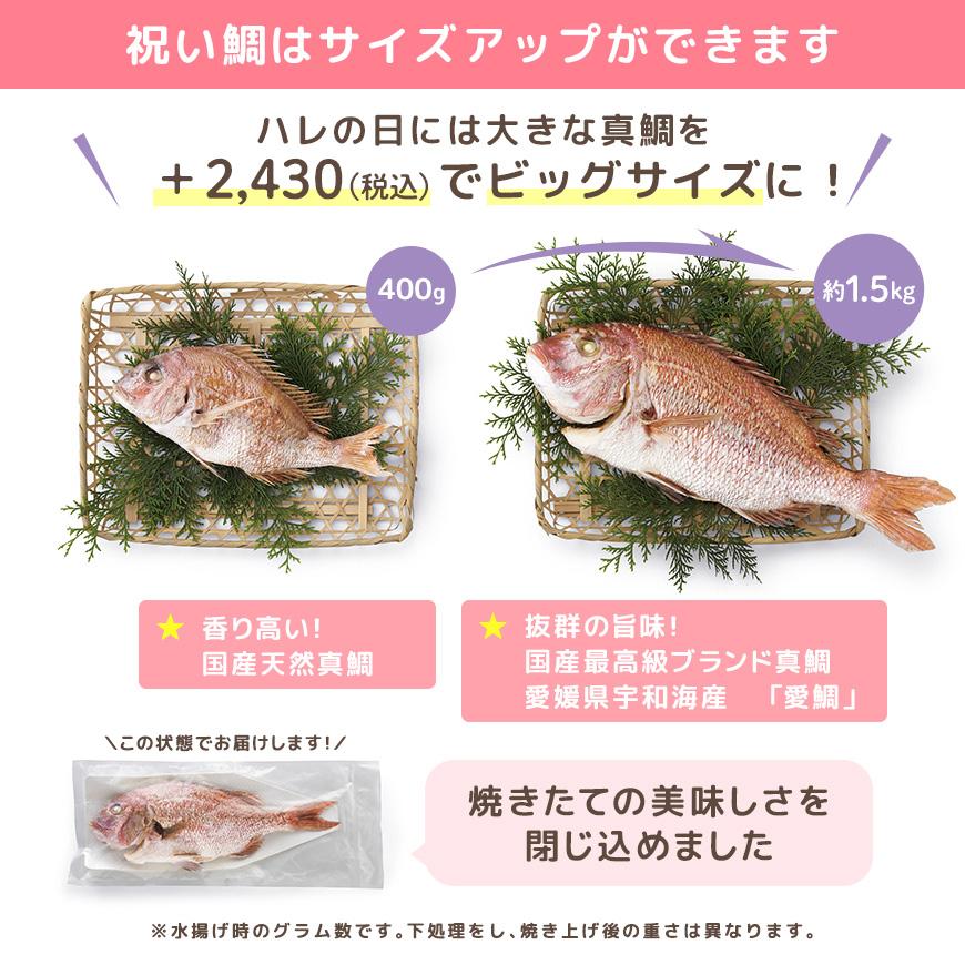 お食い初め サンリオキャラクターズベイビーズ お食い初めセット ピュアベイビーズ  盛り付け済み レンジ解凍の画像