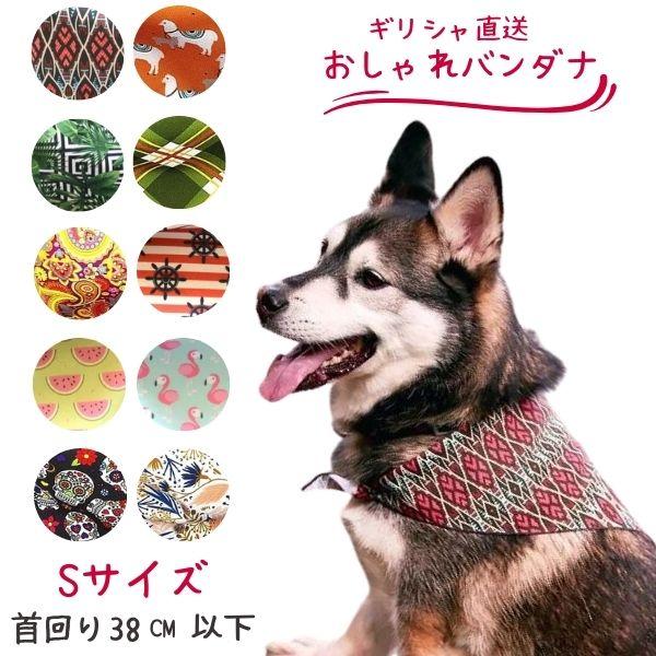 犬用 バンダナ Sサイズ よだれかけ おしゃれ アクセサリー アルゴス