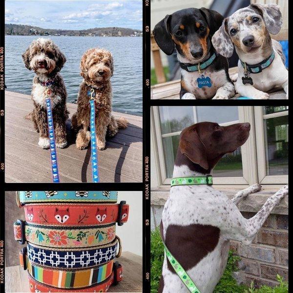 犬用 首輪 ハーフチョーク アステカブルー トレーニング 引っ張り防止