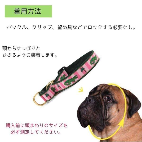 犬用 首輪 ハーフチョーク アステカブルー トレーニング 引っ張り防止