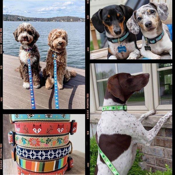 定番スタイル 犬用 首輪 ハーフチョーク 白黒ドット トレーニング 引っ張り防止 すり抜け防止 可愛い おしゃれ 小型犬 中型犬 大型犬 Up Country アップカントリー East Wind Jp