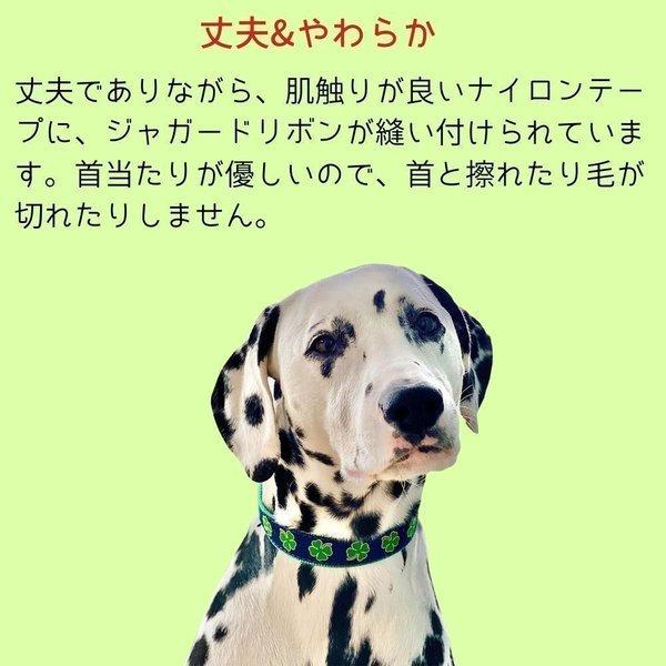 犬用 首輪 ハーフチョーク 白黒ドット トレーニング 引っ張り防止 すり抜け防止 可愛い おしゃれ 小型犬 中型犬 大型犬 Up Country アップカントリー オジコペット 通販 Yahoo ショッピング