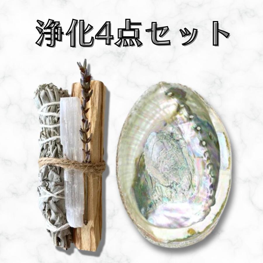 アバロンシェルホルダー 大きめ (13-15cm) [1個] 貝 虹色 小物入れ