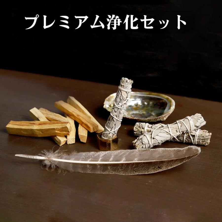 アバロンシェルホルダー 大きめ (13-15cm) [1個] 貝 虹色 小物入れ