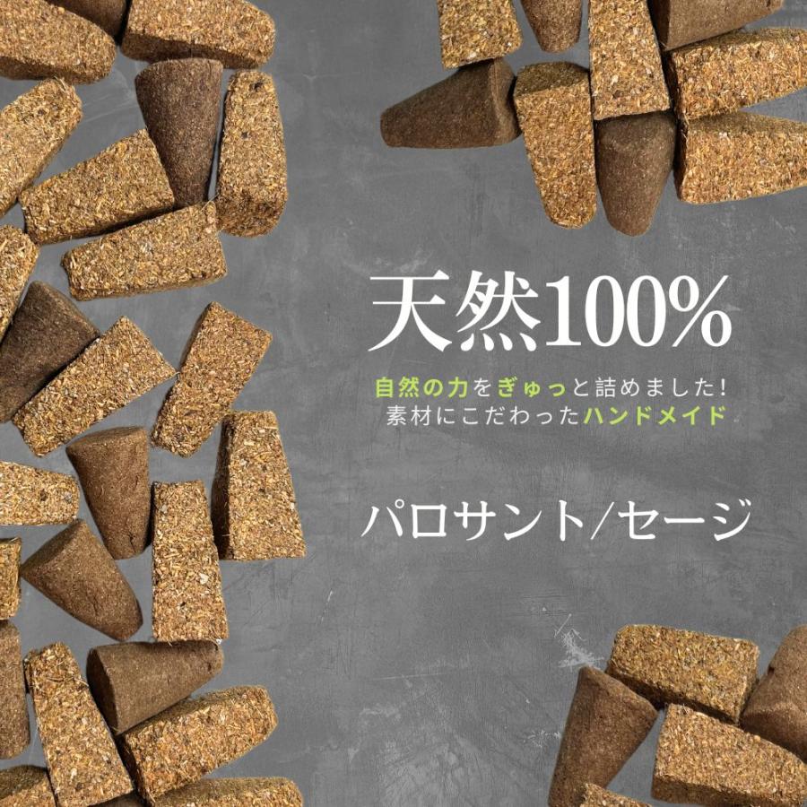 アバロンシェルホルダー 大きめ (13-15cm) [1個] 貝 虹色 小物入れ