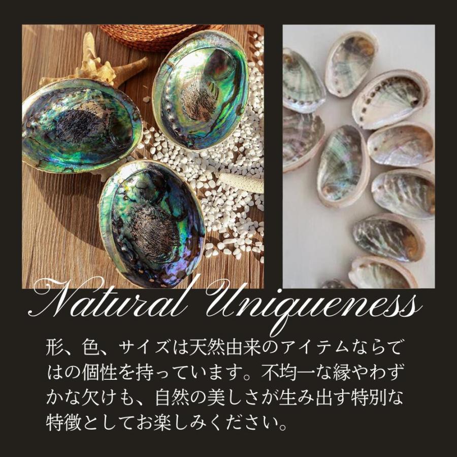 大型グリーンアバロン 貝殻 クラフト アバロンシェル 865g 約21×16cm アバロンシェルホルダー 大きめ (13-15cm) [1個] 貝 虹色 小物入れ