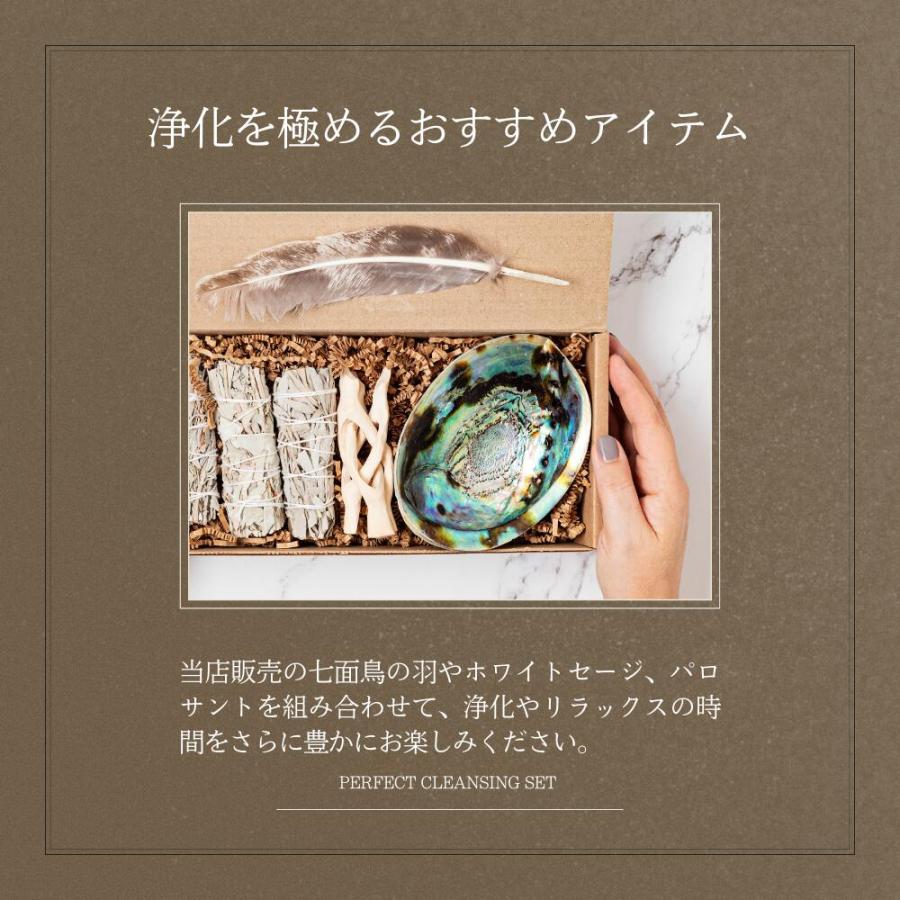 アバロンシェルホルダー 大きめ (13-15cm) [1個] 貝 虹色 小物入れ