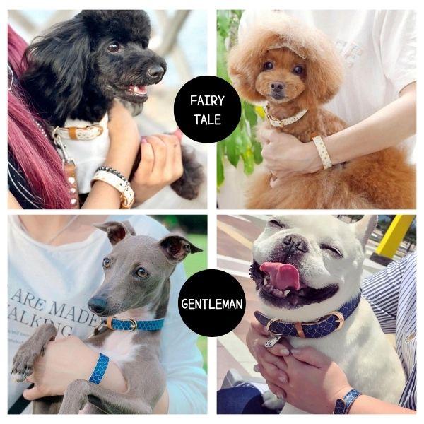 首輪とお揃いブレスレット ペアリング 犬用 おしゃれ ビーガンレザー