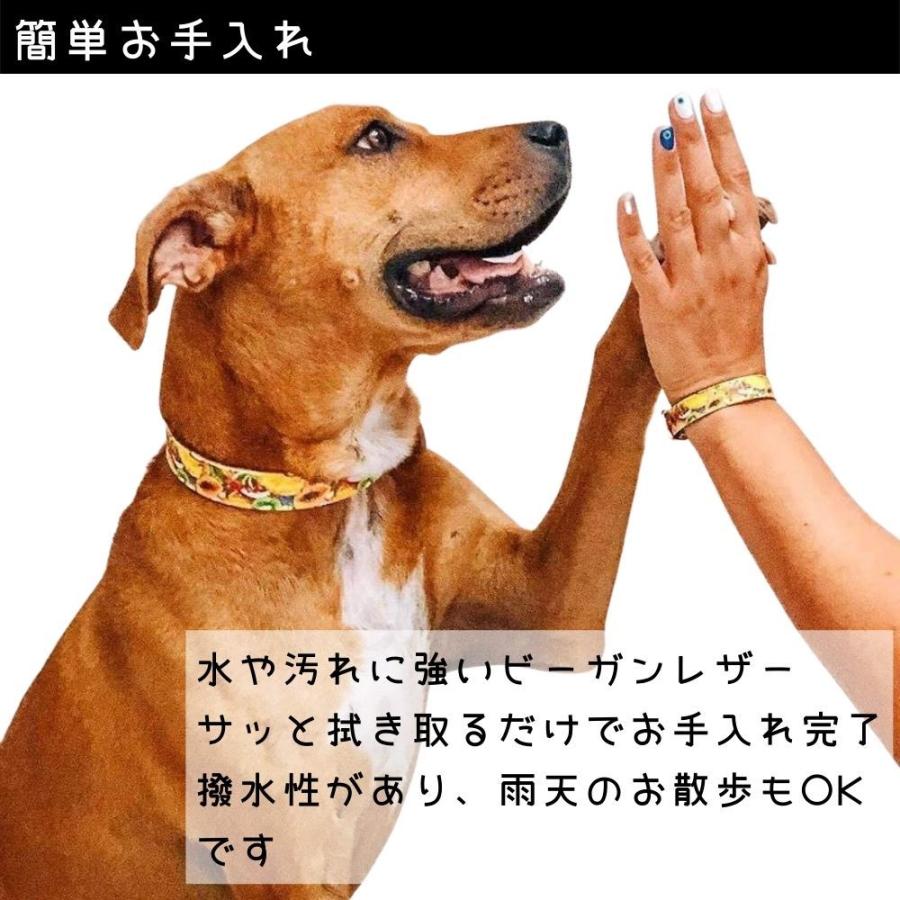 Arguscollar ワンちゃんとオーナーさんの首輪 ブレスレット ペアリング お揃い 犬用 おしゃれ ビーガンレザー アルゴスカラー Arguscollar オジコペット 通販 Yahoo ショッピング