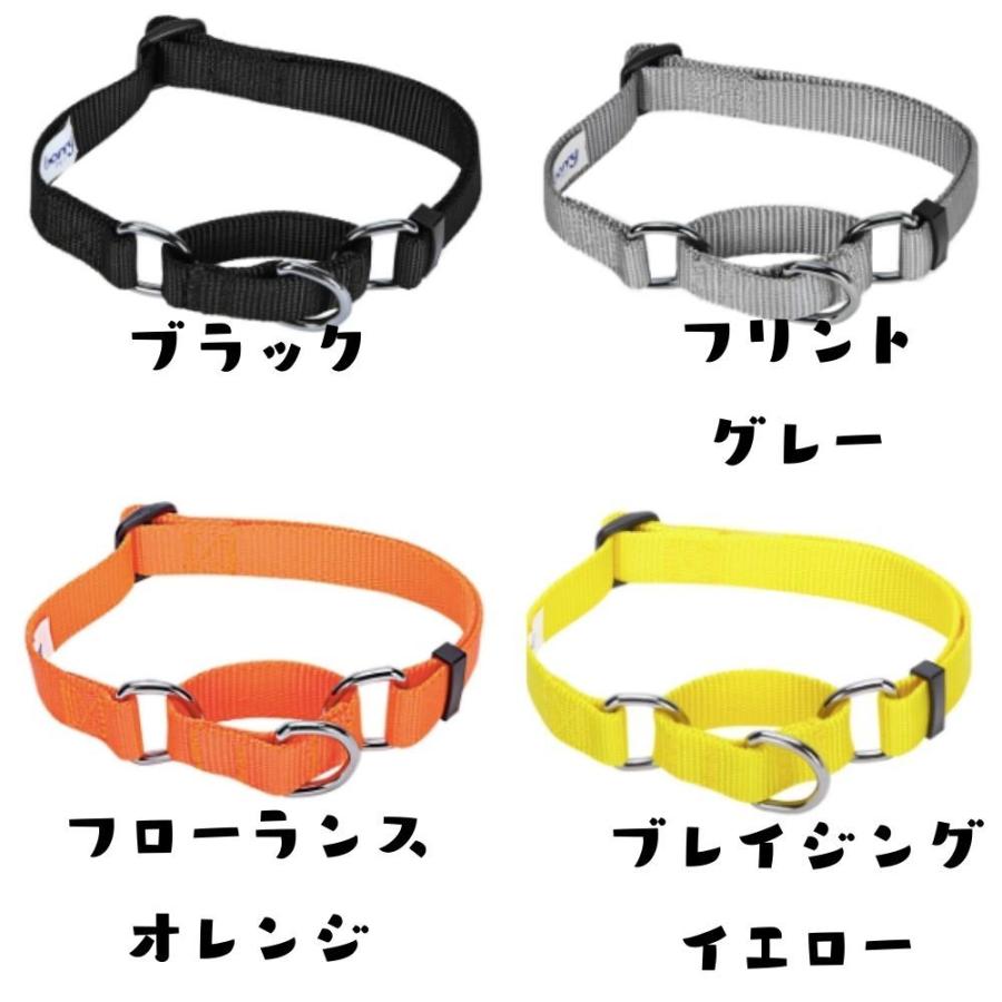犬用 ハーフチョーク首輪 しつけ ポリエステル ナイロン素材 米国ブルーベリーペット かわいい おしゃれ 大型犬 中型犬 小型犬 pdclms オジコペット 通販 Yahoo ショッピング