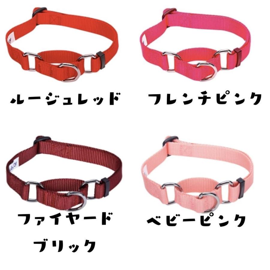 犬用 ハーフチョーク首輪 しつけ ポリエステル ナイロン素材 米国ブルーベリーペット かわいい おしゃれ 大型犬 中型犬 小型犬 pdclms オジコペット 通販 Yahoo ショッピング