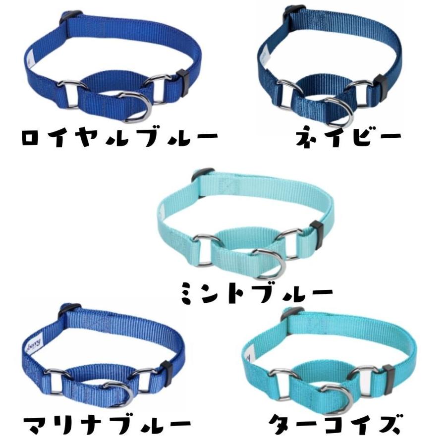 犬用 ハーフチョーク首輪 しつけ ポリエステル ナイロン素材 米国ブルーベリーペット かわいい おしゃれ 大型犬 中型犬 小型犬 pdclms オジコペット 通販 Yahoo ショッピング