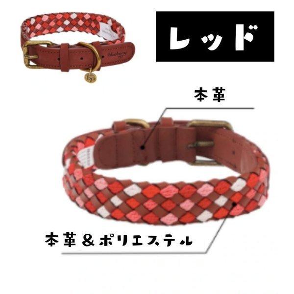 編み込みレザー ブレイド 犬用 首輪 おしゃれ 上品 ブルーベリーペット