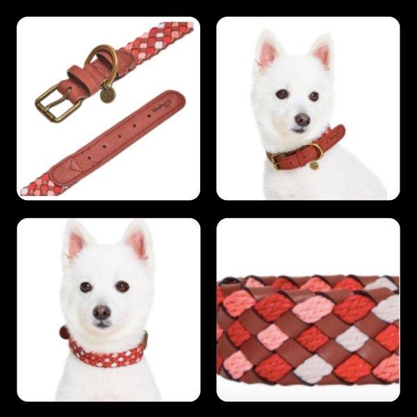 編み込みレザー ブレイド 犬用 首輪 おしゃれ 上品 ブルーベリーペット
