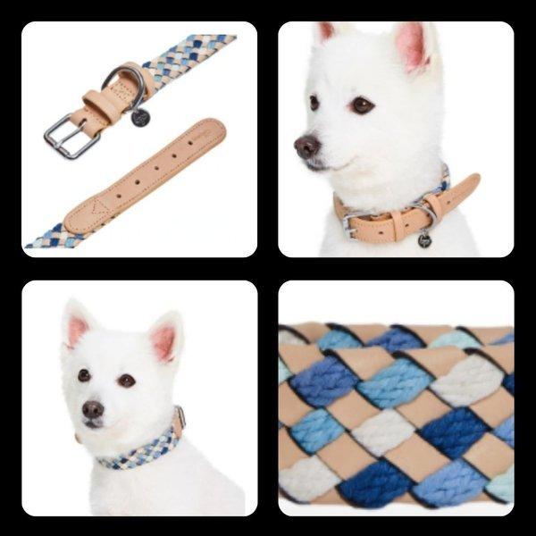 編み込みレザー ブレイド 犬用 首輪 おしゃれ 上品 ブルーベリーペット