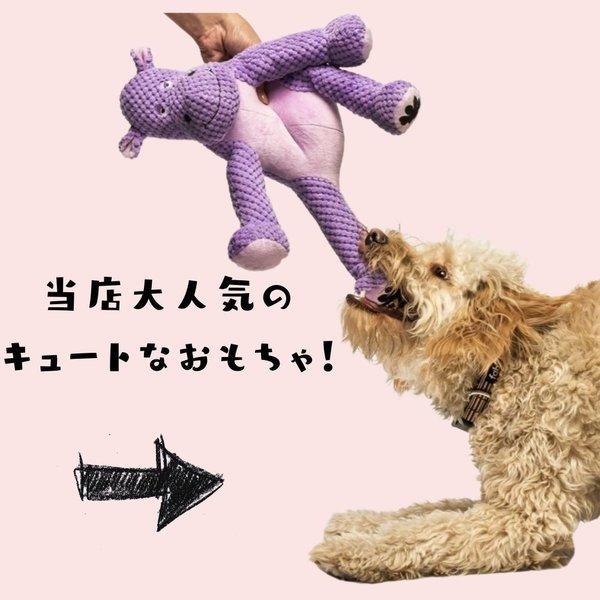 編み込みレザー ブレイド 犬用 首輪 おしゃれ 上品 ブルーベリーペット
