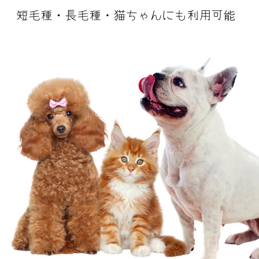 犬用 ブラシ 艶が出る イノシシ毛 竹製 高級 猫用 ペット用 Bamboo