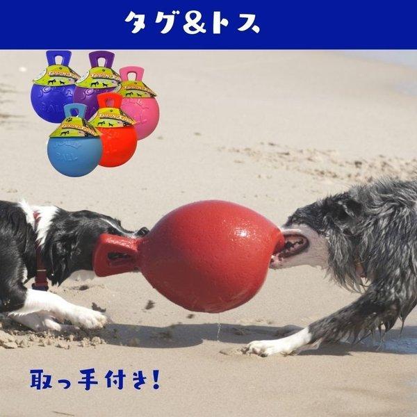 犬用 ボール 壊れない おもちゃ 大型犬 丈夫 S/11.5cm バウンス&プレイ
