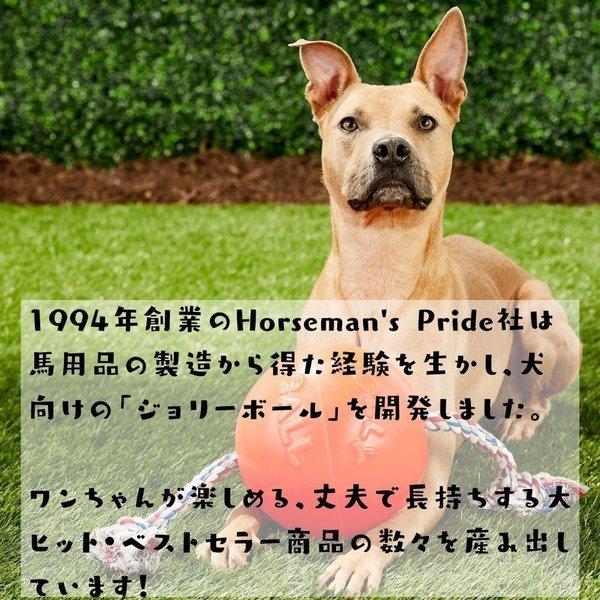 Jolly Pets ジョリーペット M 15cm 犬用ボール 犬のおもちゃ パンク知らずのバウンス プレイ Bounce Play Bounceplay2 オジコペット 通販 Yahoo ショッピング