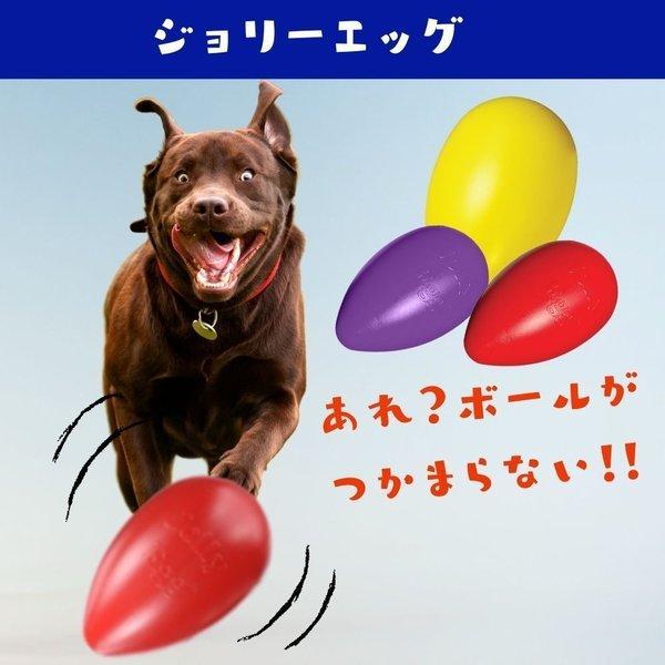 犬用 ボール 壊れない おもちゃ 大型犬 丈夫 M/15cm バウンス&プレイ