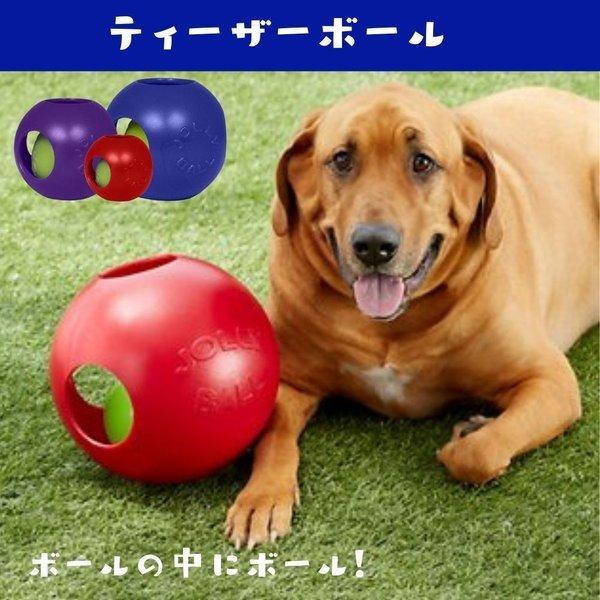 犬用 ボール 壊れない おもちゃ 大型犬 丈夫 M/15cm バウンス&プレイ Bounce &amp;amp; Play Jolly Pets ジョリーペット 大型犬 中型犬 丈夫｜ojicopet｜17