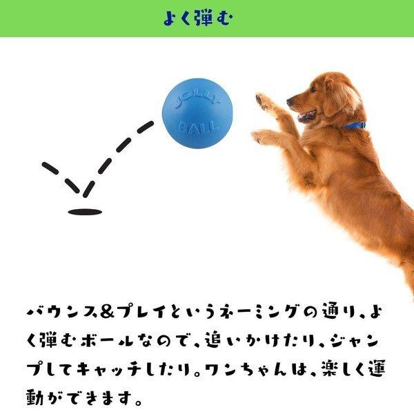 犬用 ボール 壊れない おもちゃ 大型犬 丈夫 M/15cm バウンス&プレイ Bounce &amp;amp; Play Jolly Pets ジョリーペット 大型犬 中型犬 丈夫｜ojicopet｜07