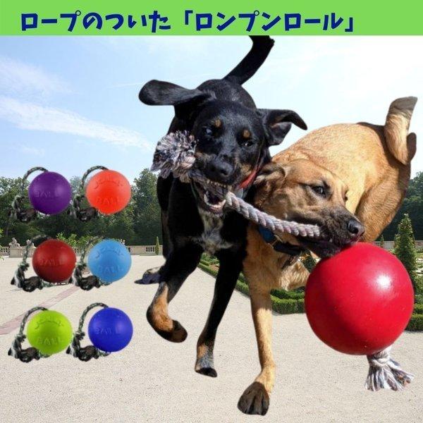 犬用 ボール 壊れない おもちゃ 大型犬 丈夫 L/20cm バウンス&プレイ