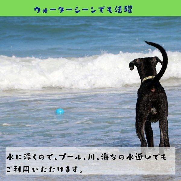 犬用 ボール 壊れない おもちゃ 大型犬 丈夫 L/20cm バウンス&プレイ Bounce &amp;amp;amp; Play Jolly Pets ジョリーペット 大型犬 丈夫｜ojicopet｜06