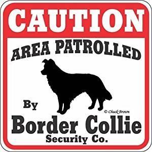 猛犬注意 正規代理店 Caution 犬がいます 看板 ボーダーコリー プレート サインボード