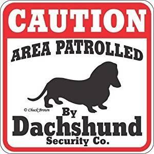 猛犬注意 Caution 犬がいます 看板 サインボード プレート ダックスフンド Caution Dachshund オジコペット 通販 Yahoo ショッピング