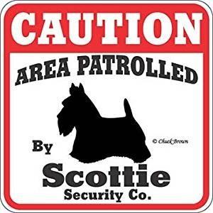 最大78 オフ 猛犬注意 Caution 犬がいます 看板 スコティッシュテリア サインボード プレート