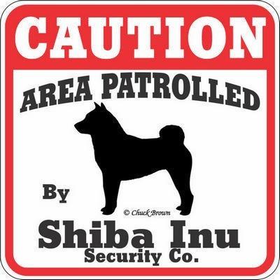 猛犬注意 Caution 犬がいます 看板 サインボード プレート 柴犬 Caution Shiba オジコペット 通販 Yahoo ショッピング