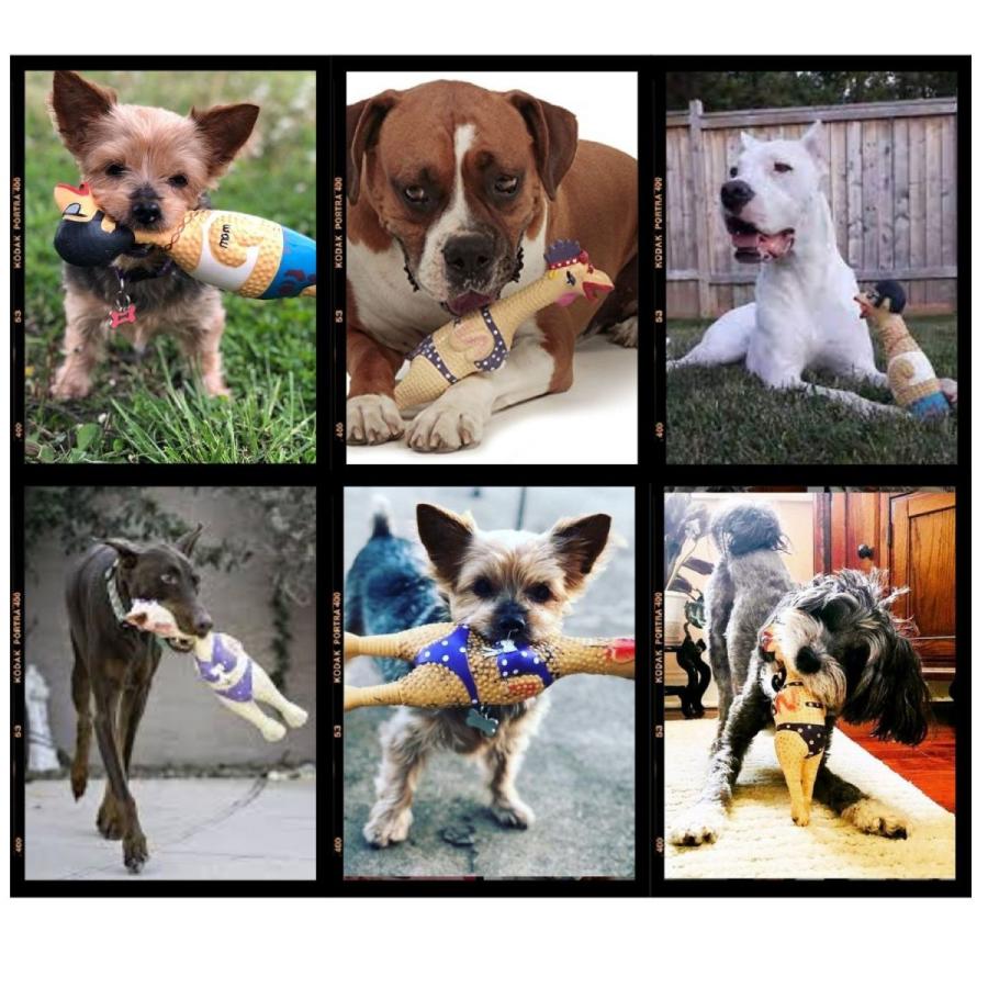 犬用おもちゃ Lサイズ 27cm ユニークな音で鳴く チキンスクイーカー チャーミングペット 中型犬 大型犬 Charming L オジコペット 通販 Yahoo ショッピング