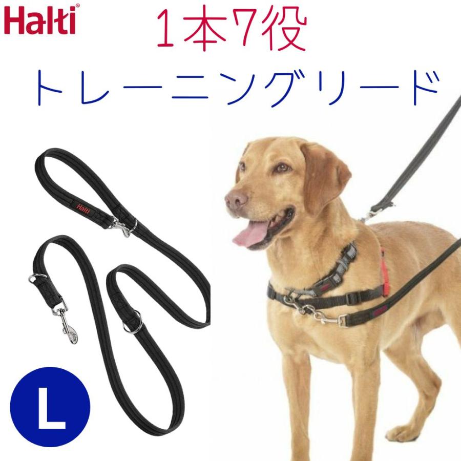 犬用 トレーニング リード 引っ張り防止 多頭飼い ダブルリード ボディーリード Halti ハルティー Lサイズ の商品画像
