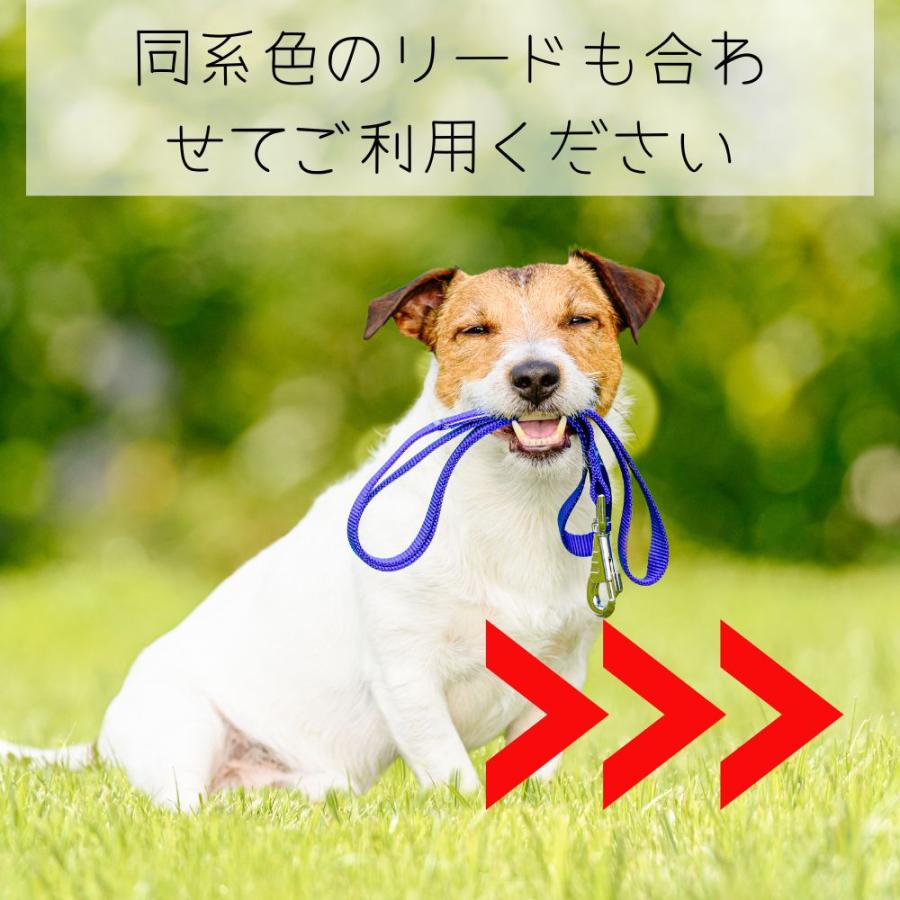 全商品オープニング価格 犬 首輪 コンフォートフレックス リミテッドスリップカラー ブラック ComfortFlex Limited Slip Collar 小型犬 中型犬 大型犬用 ハーフチョーク 犬 首輪 コンフォートフレックス リミテッドスリップカラー レッド(ComfortFlex Limited Slip Collar) (小型犬、中型犬、大型犬用)ハーフチョーク