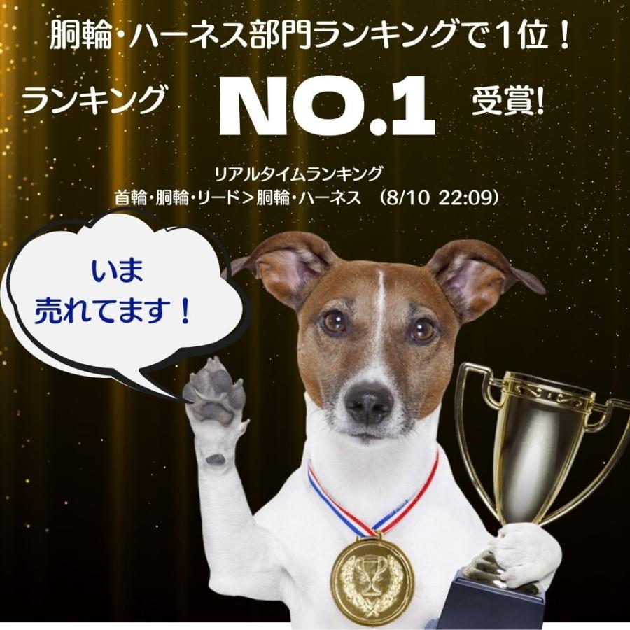 美品】現代のカリスマ 八島義郎と萬華の世界（全） 八島義郎 3冊