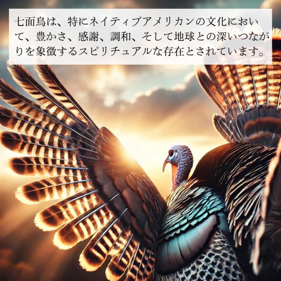 天然七面鳥の羽根 [10本] 鳥の羽根 スマッジング パロサント ホワイト