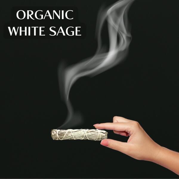 天然七面鳥の羽根 [10本] 鳥の羽根 スマッジング パロサント ホワイト