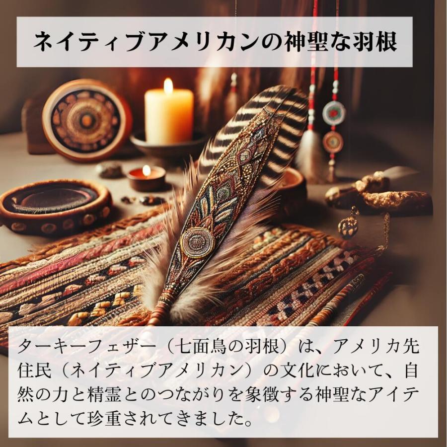 天然七面鳥の羽根 [1本] 鳥の羽根 スマッジング パロサント ホワイト