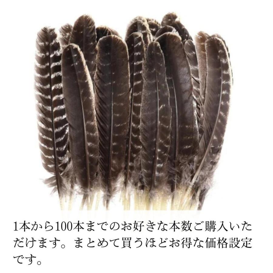 天然七面鳥の羽根 [1本] 鳥の羽根 スマッジング パロサント