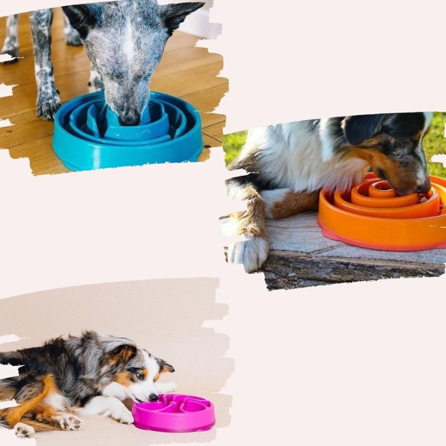 早食い防止 犬 フードボウル スローフード 食器 スローフィーダー
