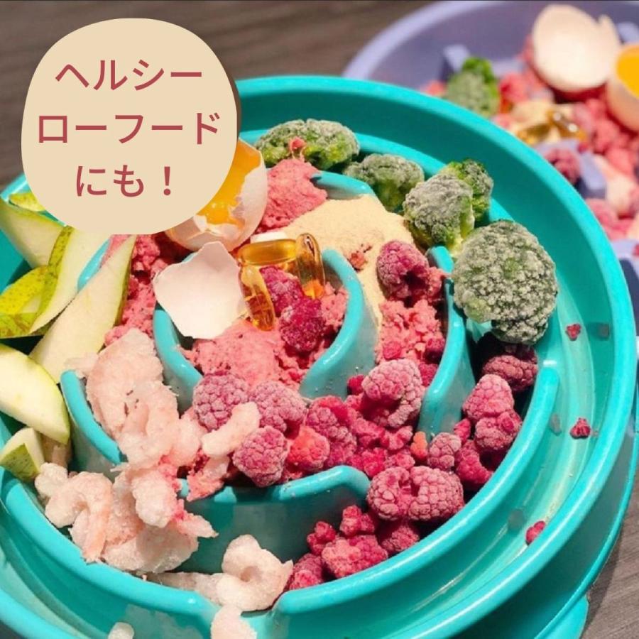 早食い防止 犬 フードボウル スローフード  食器 スローフィーダー  アウトワードハウンド ミニ｜ojicopet｜10